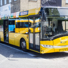 Bus offentlig transport